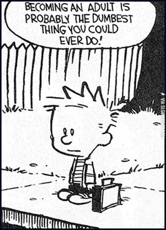 ./calvin-and-hobbes-becoming-an-adult.JPG