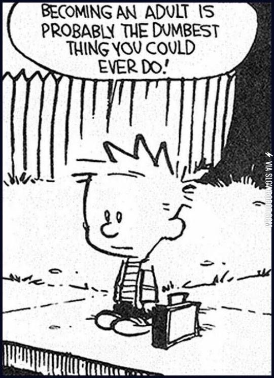 calvin-and-hobbes-becoming-an-adult.JPG