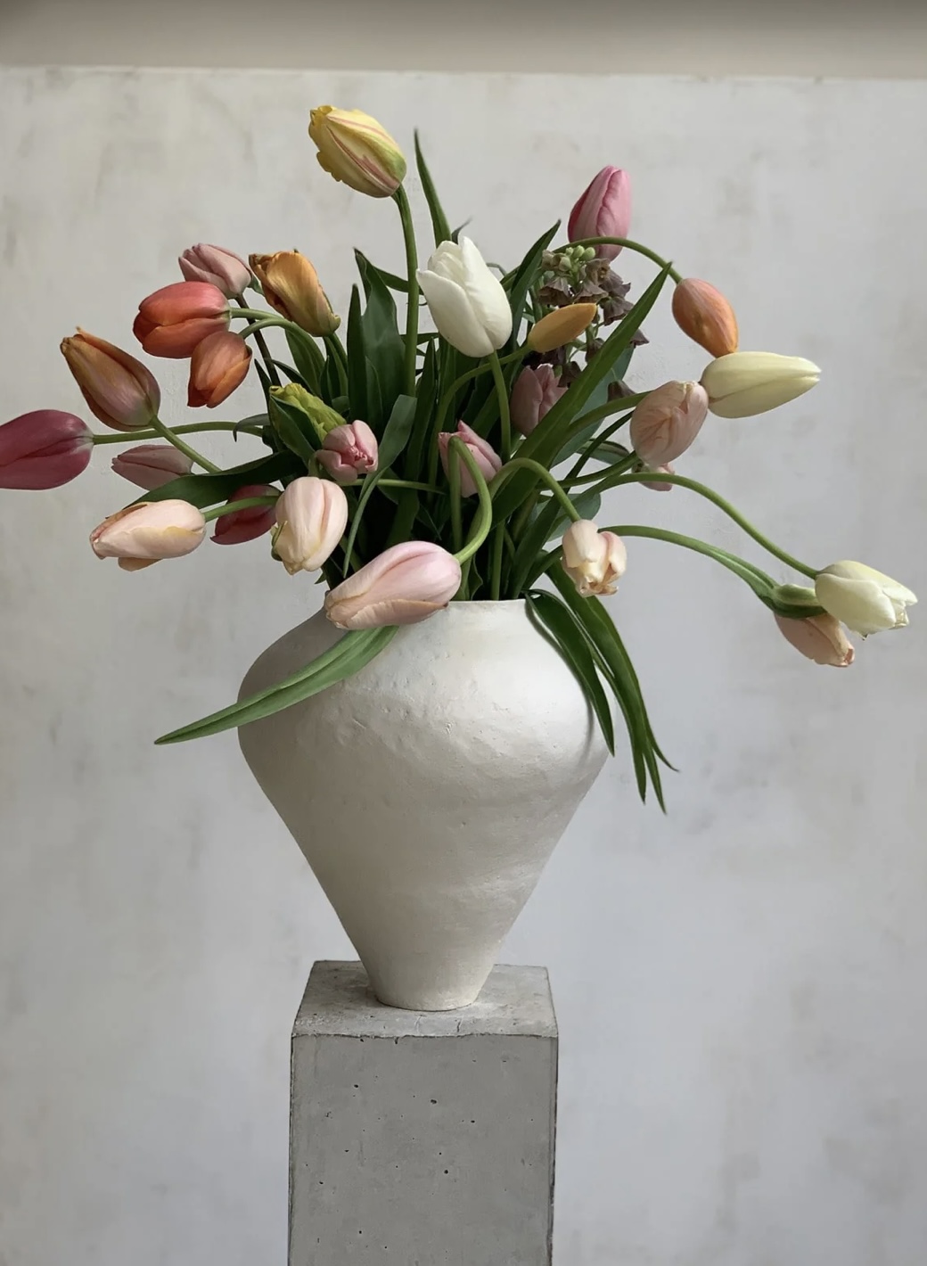 castor-fleuriste.jpg