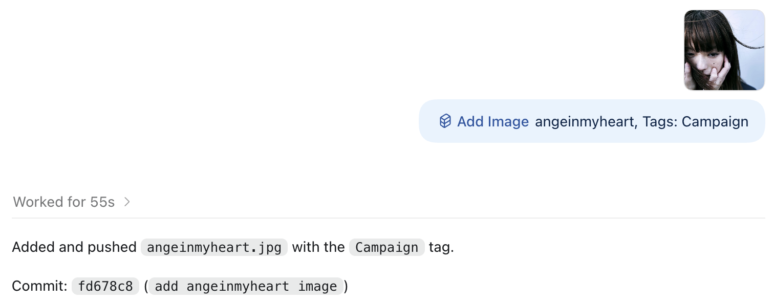 Using the Add Image skill in Codex to publish an image-library entry